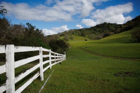 Coyote Valley: $22 million deal preserves huge ranch owned by prominent Bay Area family